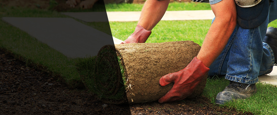 Sioux Falls Landscapers